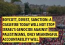 Boykott, Desinvestitionen, Sanktionen: Ein Waffenstillstand heute wird Israels Völkermord an den Palästinenser*innen nicht stoppen, nur eine wirksame Rechenschaftspflicht wird dies bewirken